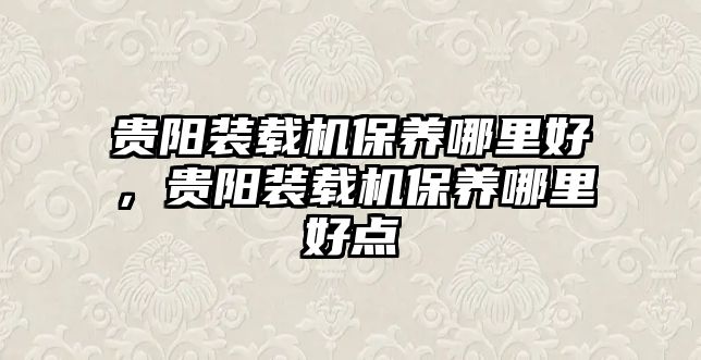 貴陽裝載機保養(yǎng)哪里好，貴陽裝載機保養(yǎng)哪里好點