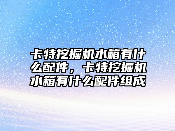 卡特挖掘機水箱有什么配件，卡特挖掘機水箱有什么配件組成