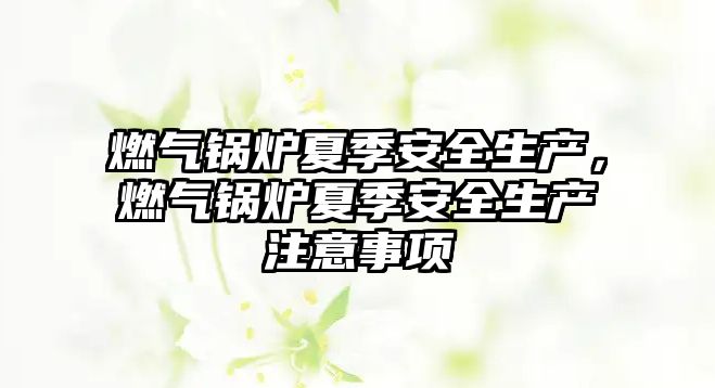 燃?xì)忮仩t夏季安全生產(chǎn)，燃?xì)忮仩t夏季安全生產(chǎn)注意事項(xiàng)