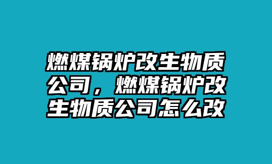 燃煤鍋爐改生物質(zhì)公司，燃煤鍋爐改生物質(zhì)公司怎么改