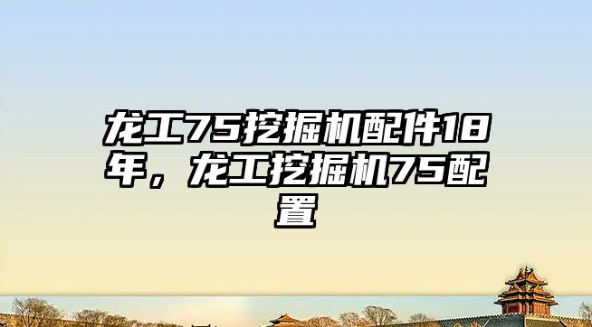 龍工75挖掘機配件18年，龍工挖掘機75配置