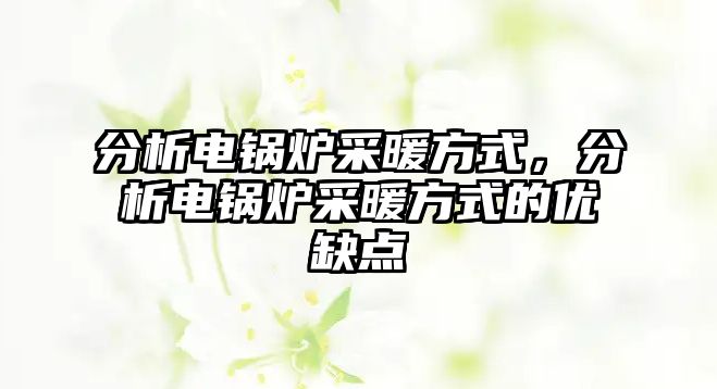 分析電鍋爐采暖方式，分析電鍋爐采暖方式的優(yōu)缺點(diǎn)