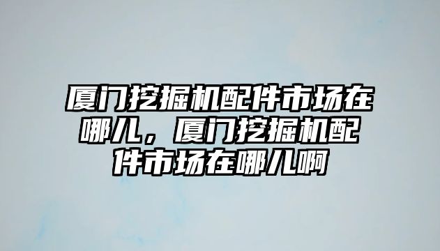 廈門挖掘機配件市場在哪兒，廈門挖掘機配件市場在哪兒啊