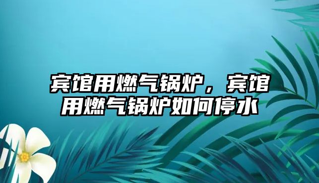 賓館用燃?xì)忮仩t，賓館用燃?xì)忮仩t如何停水