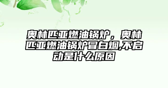 奧林匹亞燃油鍋爐，奧林匹亞燃油鍋爐冒白煙,不啟動(dòng)是什么原因