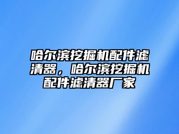 哈爾濱挖掘機配件濾清器，哈爾濱挖掘機配件濾清器廠家