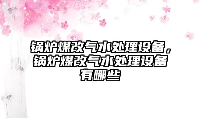 鍋爐煤改氣水處理設(shè)備，鍋爐煤改氣水處理設(shè)備有哪些