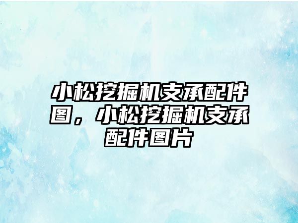 小松挖掘機支承配件圖，小松挖掘機支承配件圖片