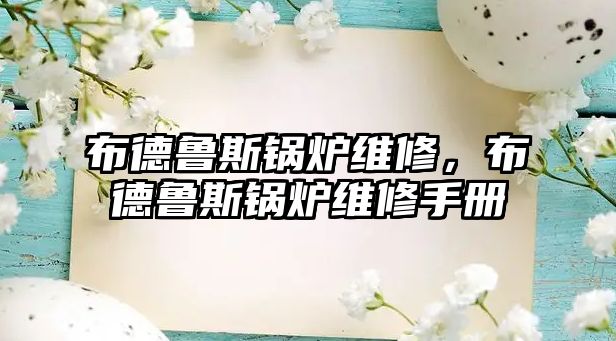 布德魯斯鍋爐維修，布德魯斯鍋爐維修手冊