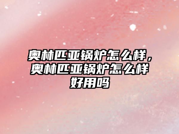 奧林匹亞鍋爐怎么樣，奧林匹亞鍋爐怎么樣好用嗎