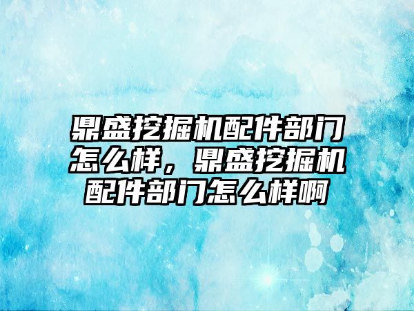 鼎盛挖掘機配件部門怎么樣，鼎盛挖掘機配件部門怎么樣啊