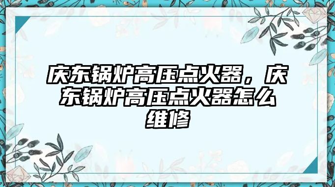 慶東鍋爐高壓點火器，慶東鍋爐高壓點火器怎么維修