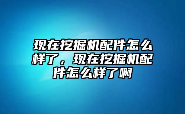 現(xiàn)在挖掘機配件怎么樣了，現(xiàn)在挖掘機配件怎么樣了啊