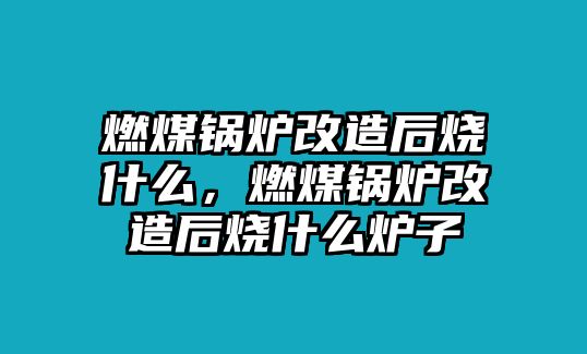 燃煤鍋爐改造后燒什么，燃煤鍋爐改造后燒什么爐子