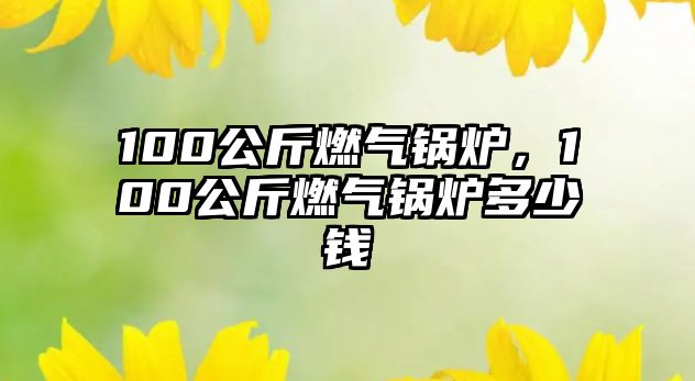 100公斤燃?xì)忮仩t，100公斤燃?xì)忮仩t多少錢