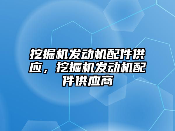 挖掘機發(fā)動機配件供應(yīng)，挖掘機發(fā)動機配件供應(yīng)商