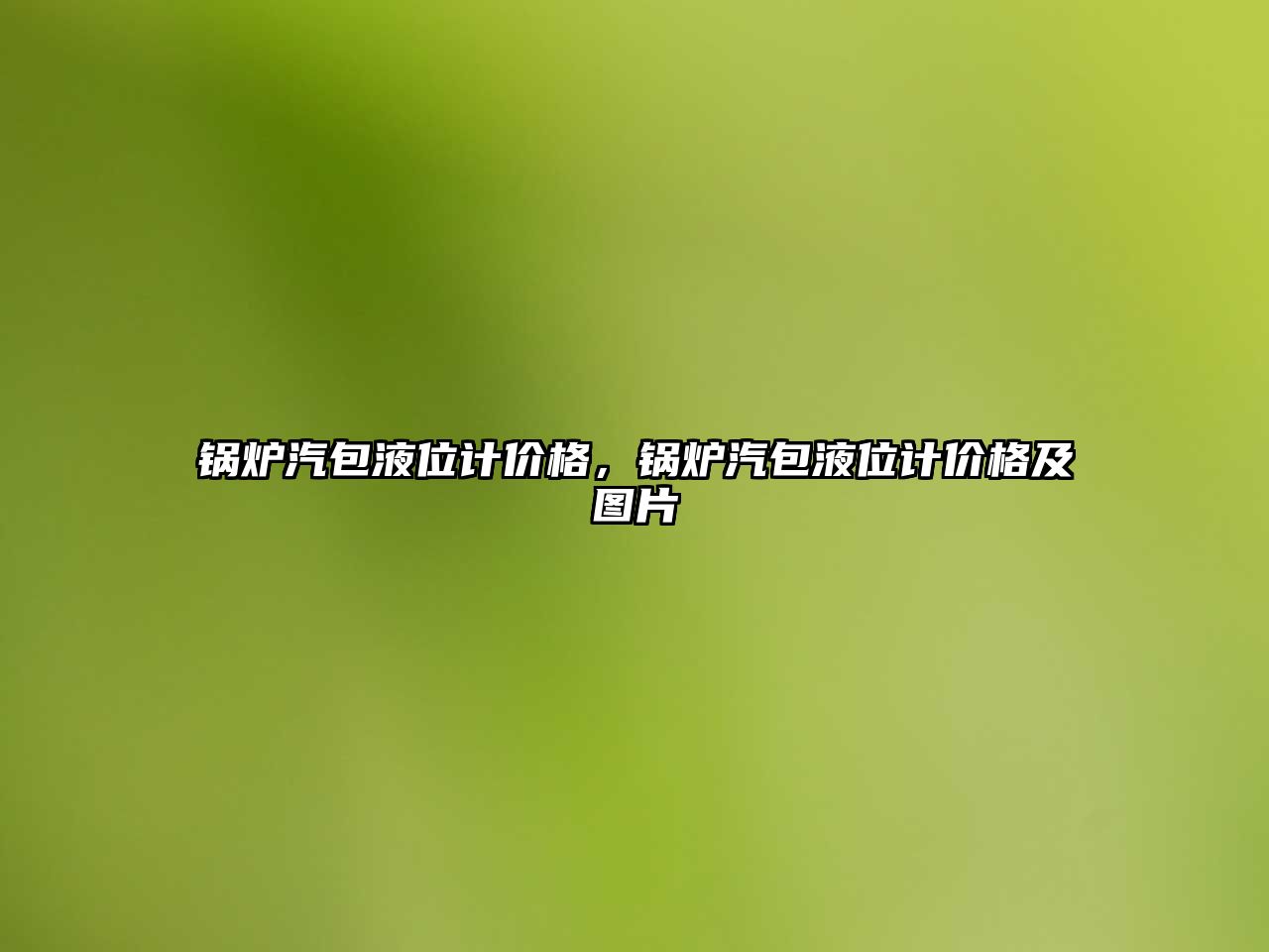 鍋爐汽包液位計價格，鍋爐汽包液位計價格及圖片