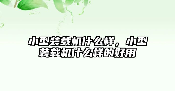 小型裝載機什么樣，小型裝載機什么樣的好用