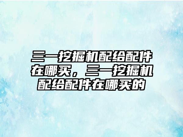 三一挖掘機(jī)配給配件在哪買，三一挖掘機(jī)配給配件在哪買的