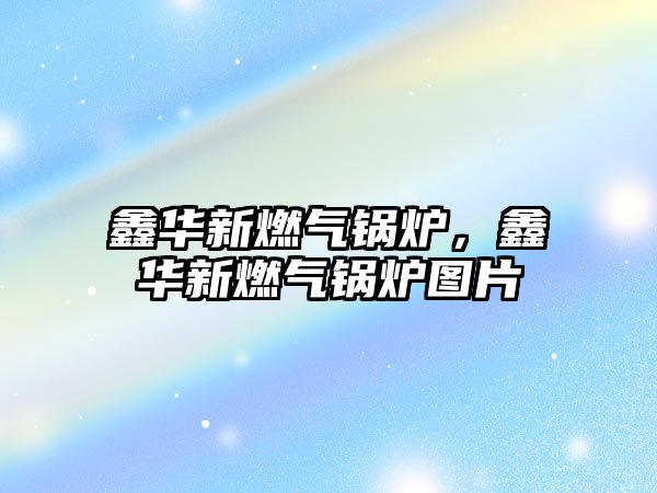 鑫華新燃?xì)忮仩t，鑫華新燃?xì)忮仩t圖片