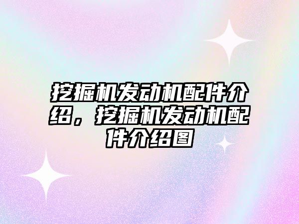 挖掘機發(fā)動機配件介紹，挖掘機發(fā)動機配件介紹圖