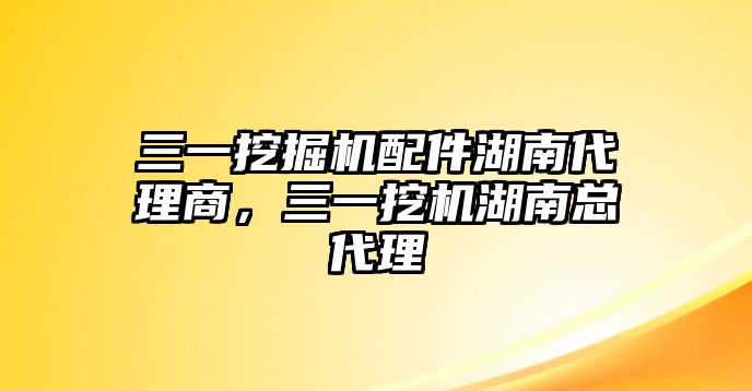 三一挖掘機配件湖南代理商，三一挖機湖南總代理