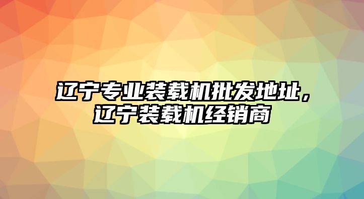 遼寧專業(yè)裝載機批發(fā)地址，遼寧裝載機經(jīng)銷商