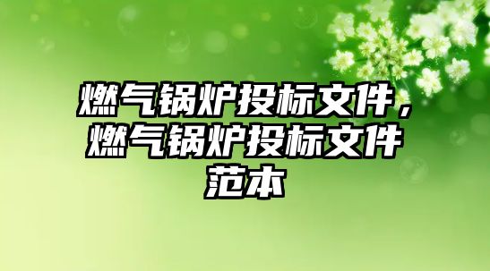 燃?xì)忮仩t投標(biāo)文件，燃?xì)忮仩t投標(biāo)文件范本