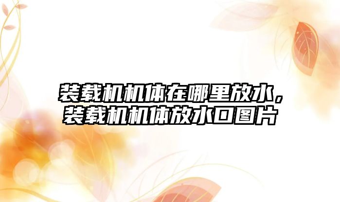 裝載機機體在哪里放水，裝載機機體放水口圖片