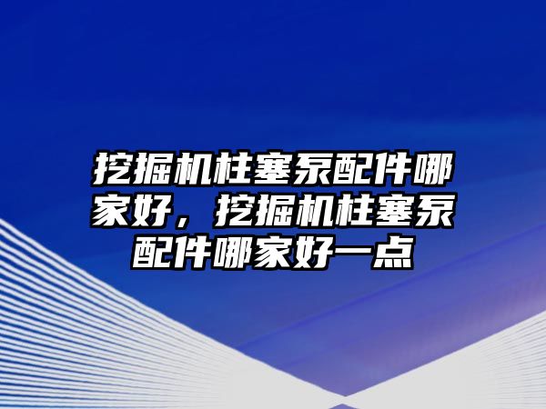 挖掘機柱塞泵配件哪家好，挖掘機柱塞泵配件哪家好一點