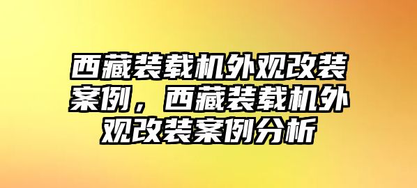 西藏裝載機外觀改裝案例，西藏裝載機外觀改裝案例分析