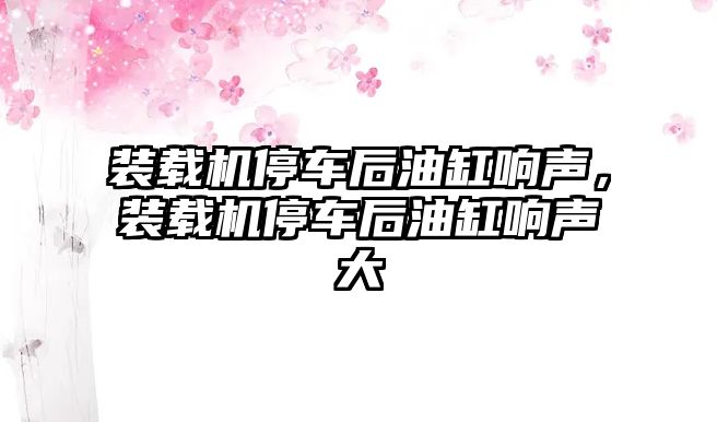 裝載機停車后油缸響聲，裝載機停車后油缸響聲大