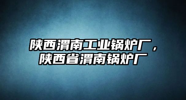 陜西渭南工業(yè)鍋爐廠，陜西省渭南鍋爐廠