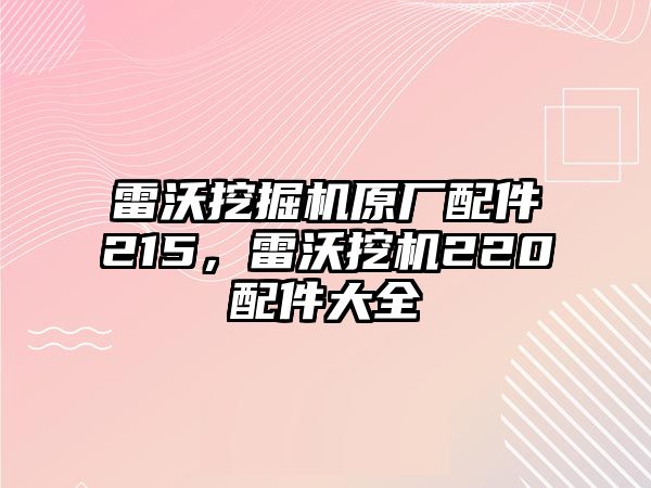 雷沃挖掘機原廠配件215，雷沃挖機220配件大全