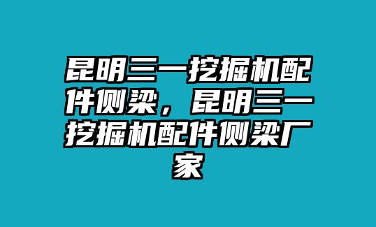 昆明三一挖掘機(jī)配件側(cè)梁，昆明三一挖掘機(jī)配件側(cè)梁廠家