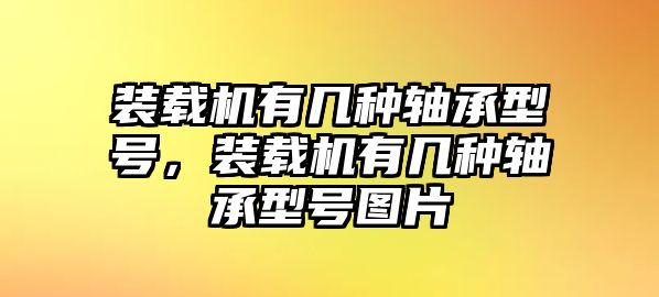 裝載機有幾種軸承型號，裝載機有幾種軸承型號圖片