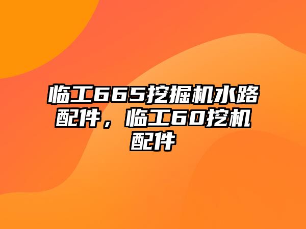 臨工665挖掘機(jī)水路配件，臨工60挖機(jī)配件