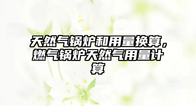 天然氣鍋爐和用量換算，燃?xì)忮仩t天然氣用量計算