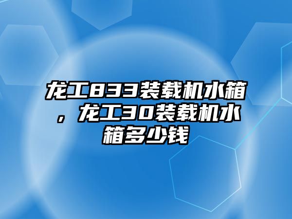 龍工833裝載機(jī)水箱，龍工30裝載機(jī)水箱多少錢