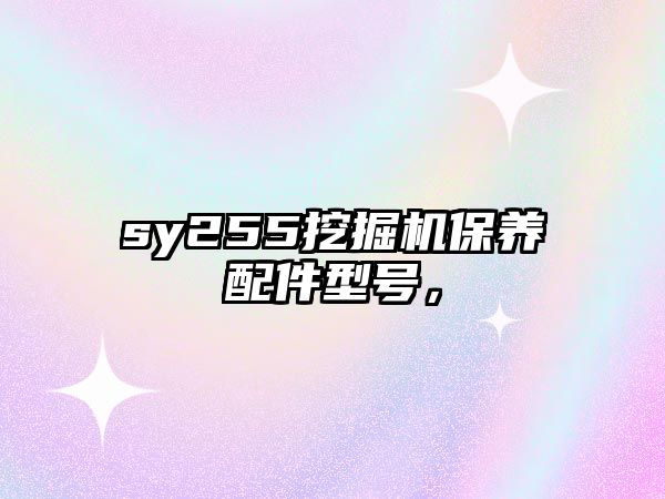 sy255挖掘機保養(yǎng)配件型號，