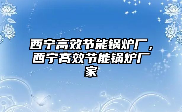 西寧高效節(jié)能鍋爐廠，西寧高效節(jié)能鍋爐廠家