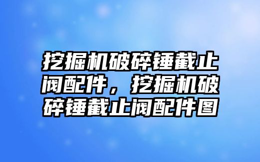 挖掘機(jī)破碎錘截止閥配件，挖掘機(jī)破碎錘截止閥配件圖