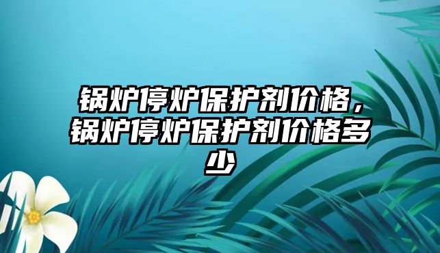 鍋爐停爐保護劑價格，鍋爐停爐保護劑價格多少