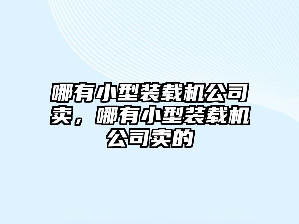 哪有小型裝載機公司賣，哪有小型裝載機公司賣的