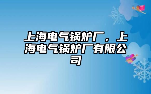 上海電氣鍋爐廠，上海電氣鍋爐廠有限公司