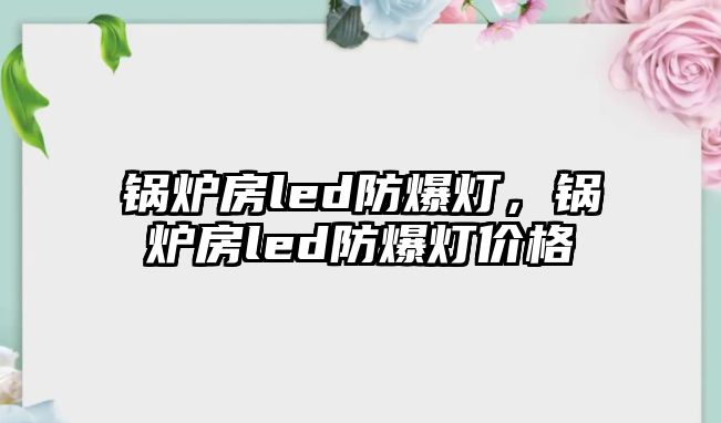 鍋爐房led防爆燈，鍋爐房led防爆燈價格