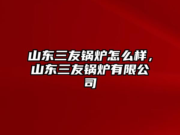 山東三友鍋爐怎么樣，山東三友鍋爐有限公司