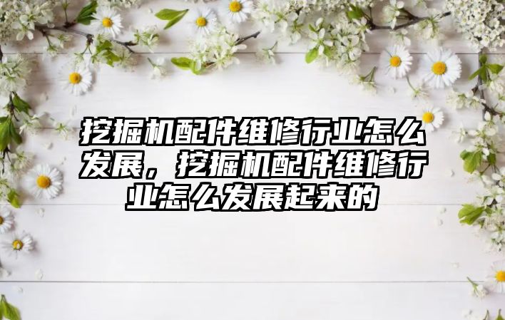 挖掘機配件維修行業(yè)怎么發(fā)展，挖掘機配件維修行業(yè)怎么發(fā)展起來的