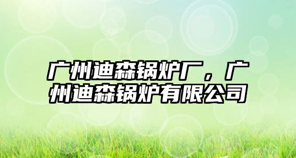 廣州迪森鍋爐廠，廣州迪森鍋爐有限公司