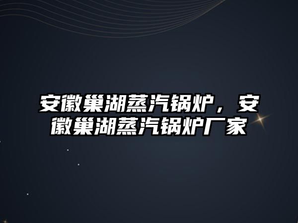 安徽巢湖蒸汽鍋爐，安徽巢湖蒸汽鍋爐廠家